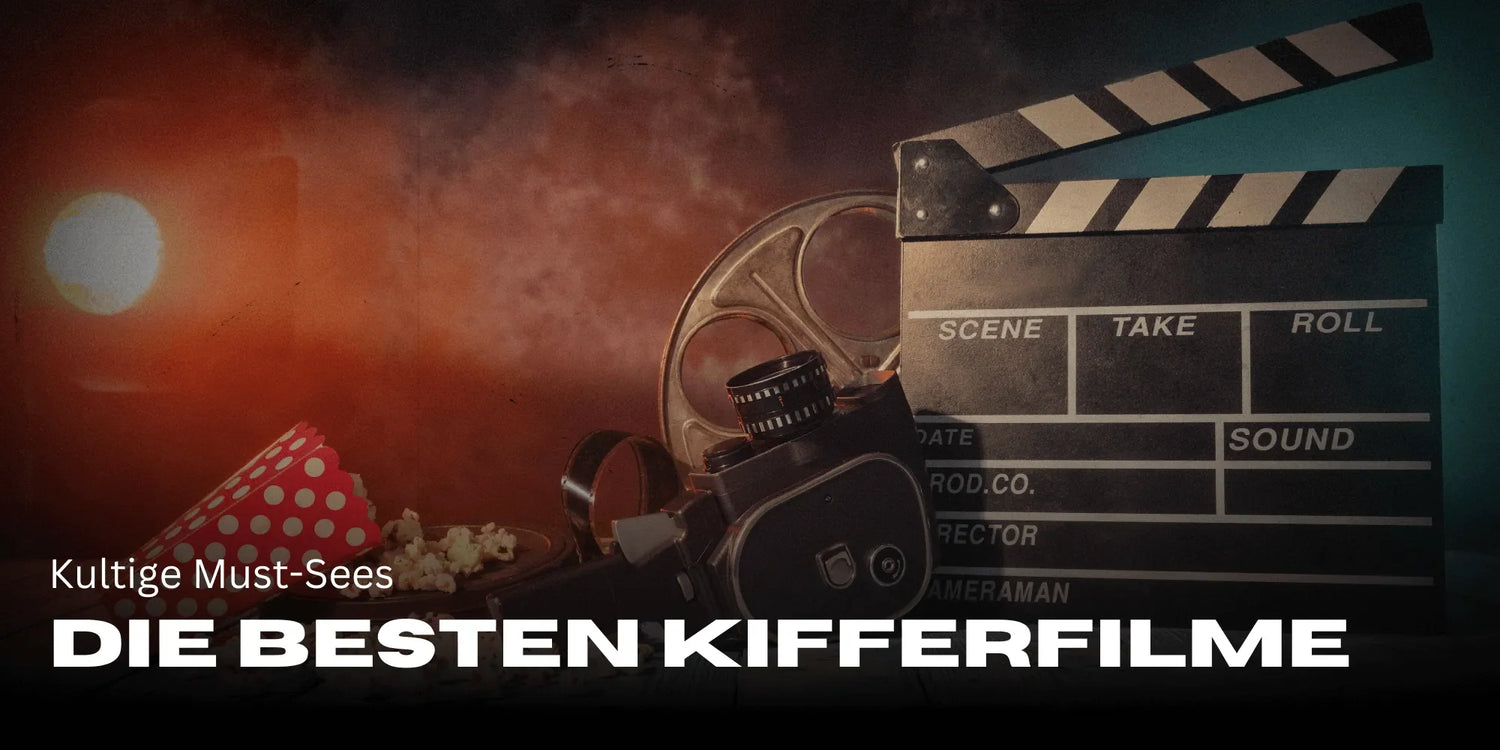 The best stoner movies of all time – Cult must-sees – Smagro GmbH