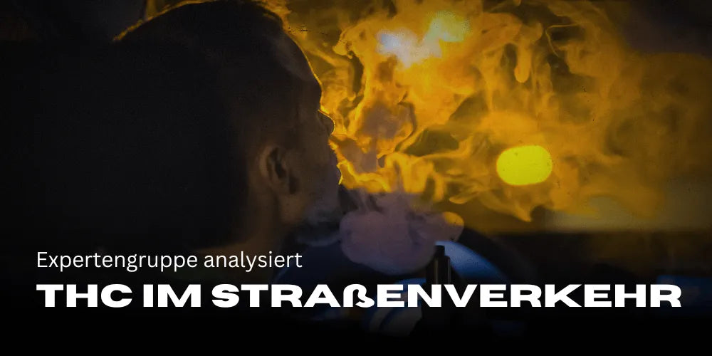 Expert group analyzes THC limits in road traffic