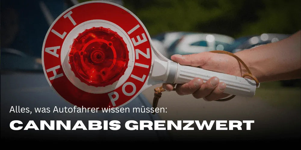THC limit in Germany: Everything drivers need to know - Smagro GmbH