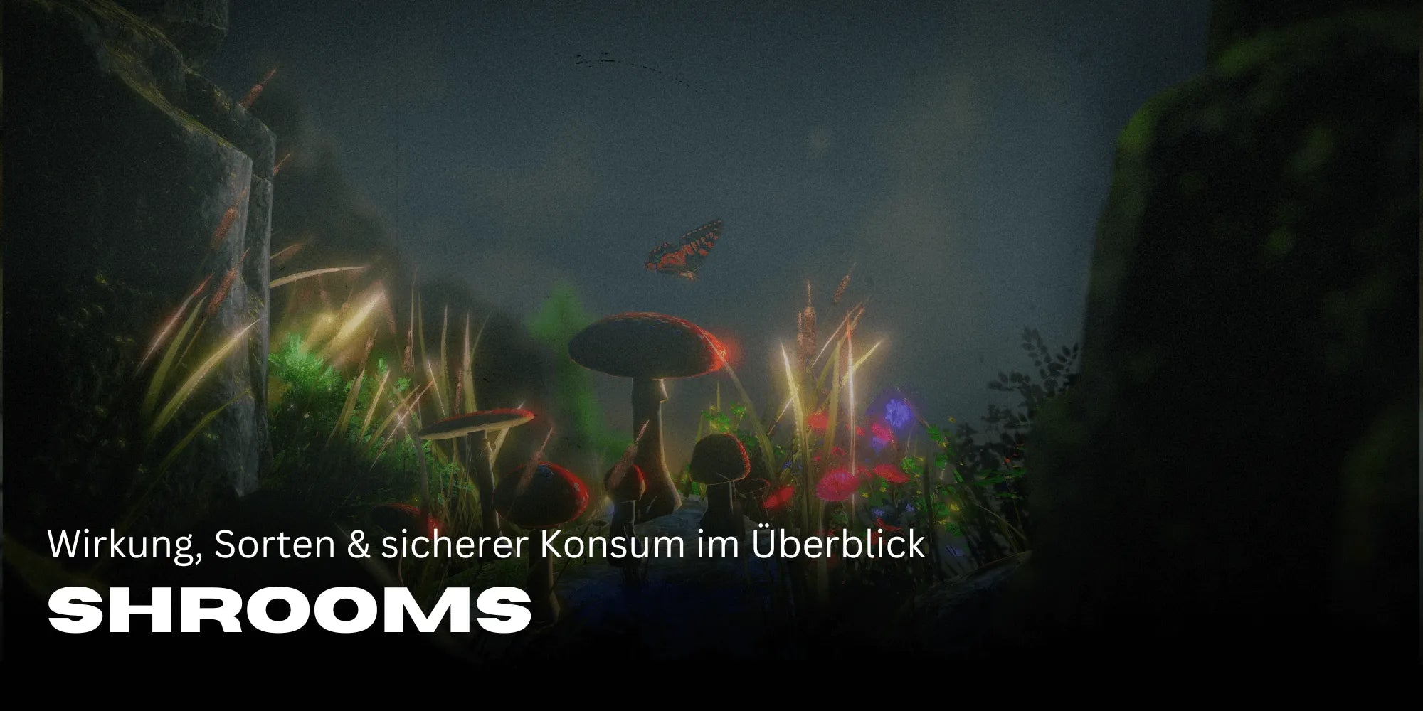 Shrooms: Effects, Varieties & Safe Consumption at a Glance