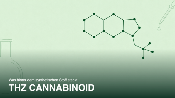 Stilisierte Molekülstruktur eines Cannabinoids in Grün auf Mintgrün, Titelbild zum Artikel über THZ Cannabinoid