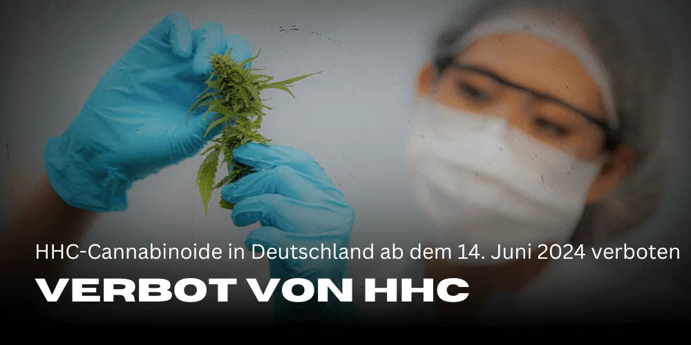 Ban on HHC cannabinoids in Germany as of June 14, 2024