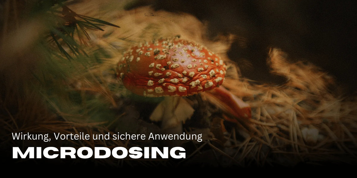 Microdosagem