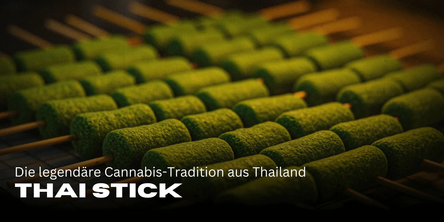 Thai Stick : La légendaire tradition du Cannabis de Thaïlande-Smagro GmbH