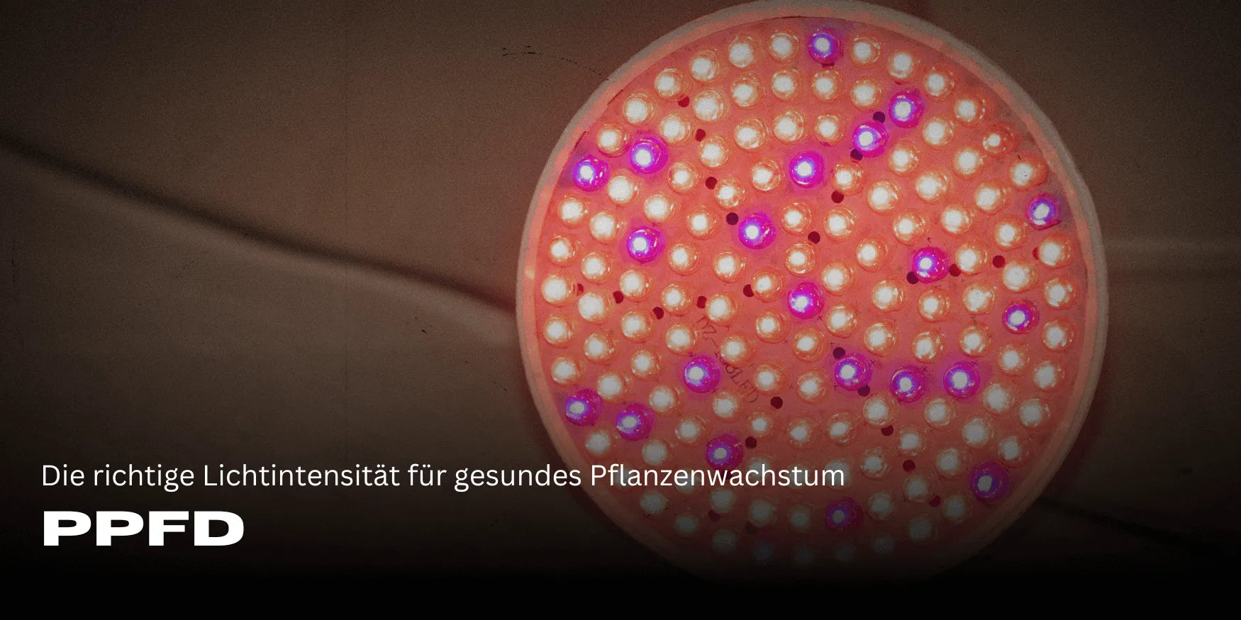 PPFD: The right light intensity for healthy plant growth - Smagro GmbH
