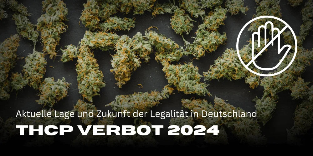 Prohibición del THCP 2024: Situación actual y futuro de la legalidad en Alemania