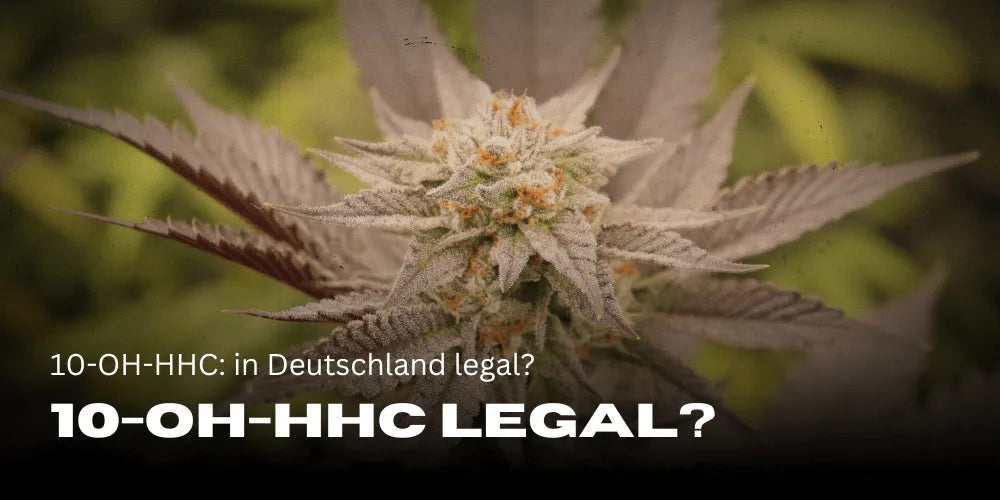 10-OH-HHC : légal en Allemagne ?