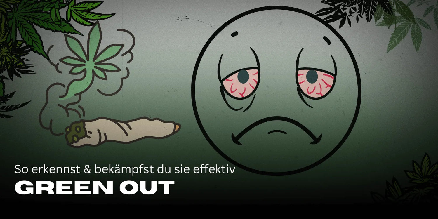 Green Out: Cauze, simptome și sfaturi pentru ameliorare-Smagro GmbH