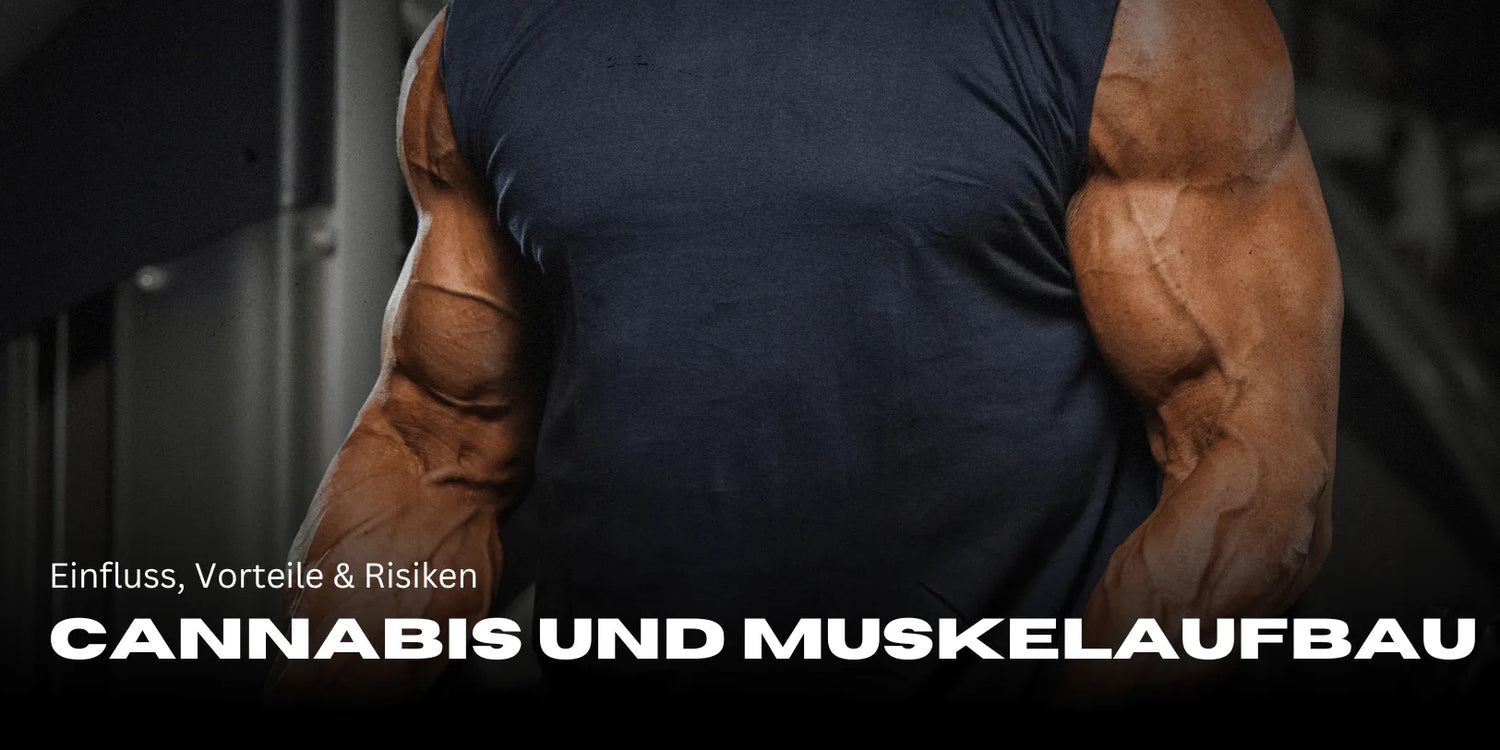 Cannabis and Muscle Building: Influence, Benefits & Risks - Smagro GmbH