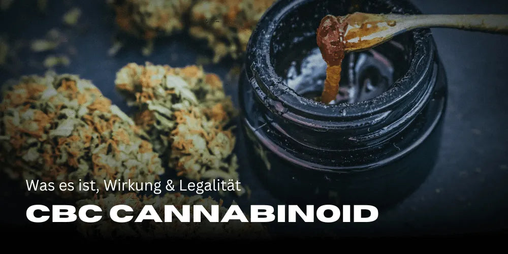 CBC Cannabinoïde : Ce que c'est, effets et légalité
