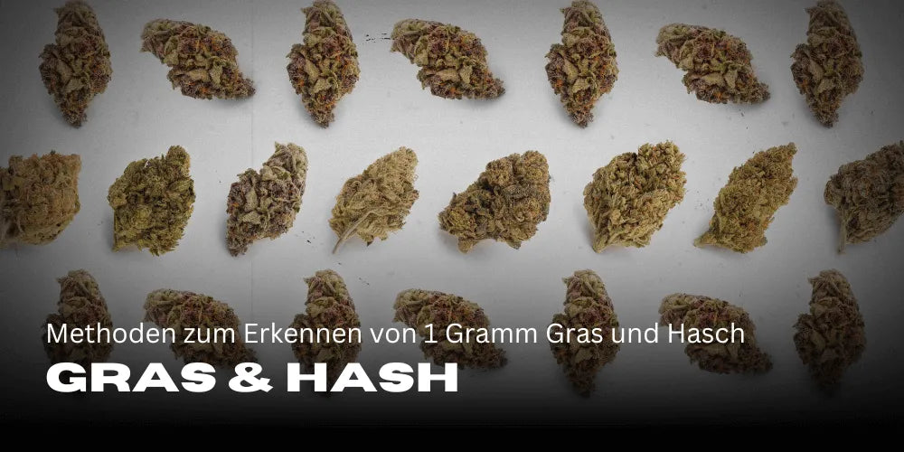 Méthodes pour reconnaître 1 gramme de weed et de hash