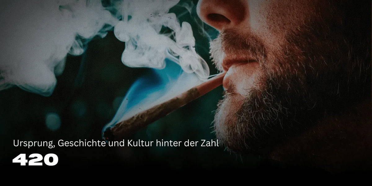 420 significado: origen, historia y cultura detrás del número 🌿
