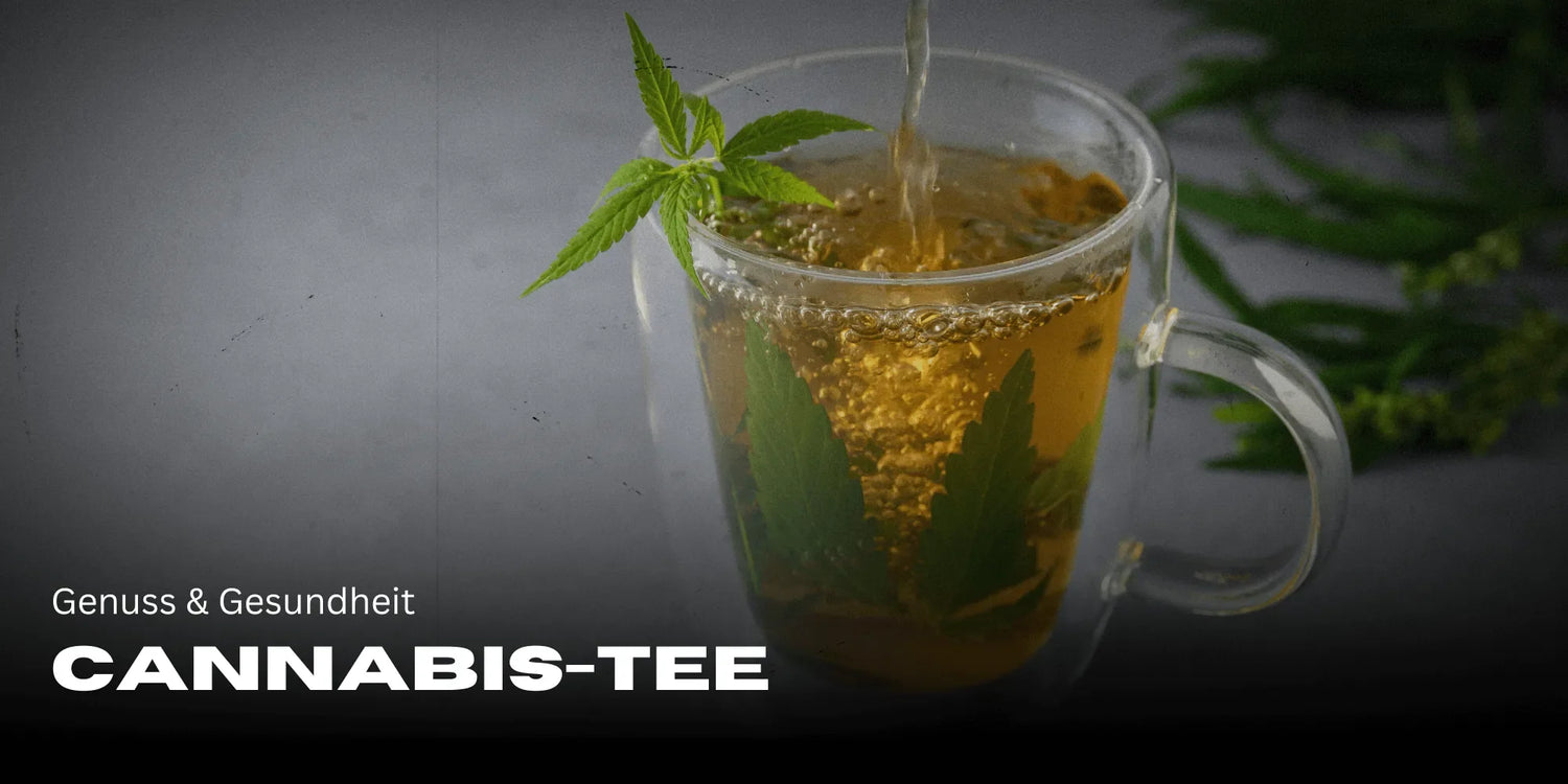 Thé au Cannabis : plaisir et santé dans une tasse
