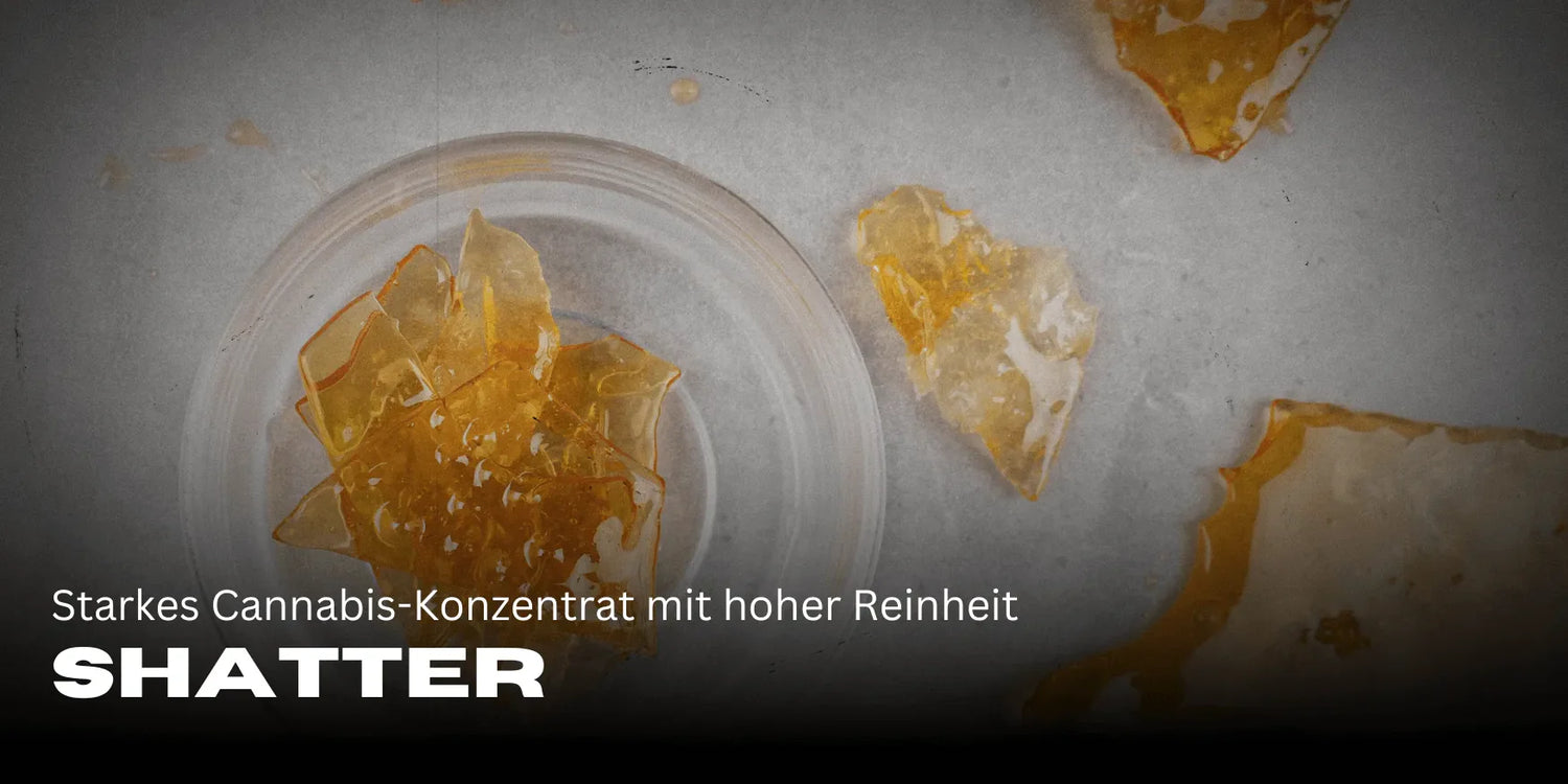 Shatter: Concentrado de cannabis potente con alta pureza-Smagro GmbH