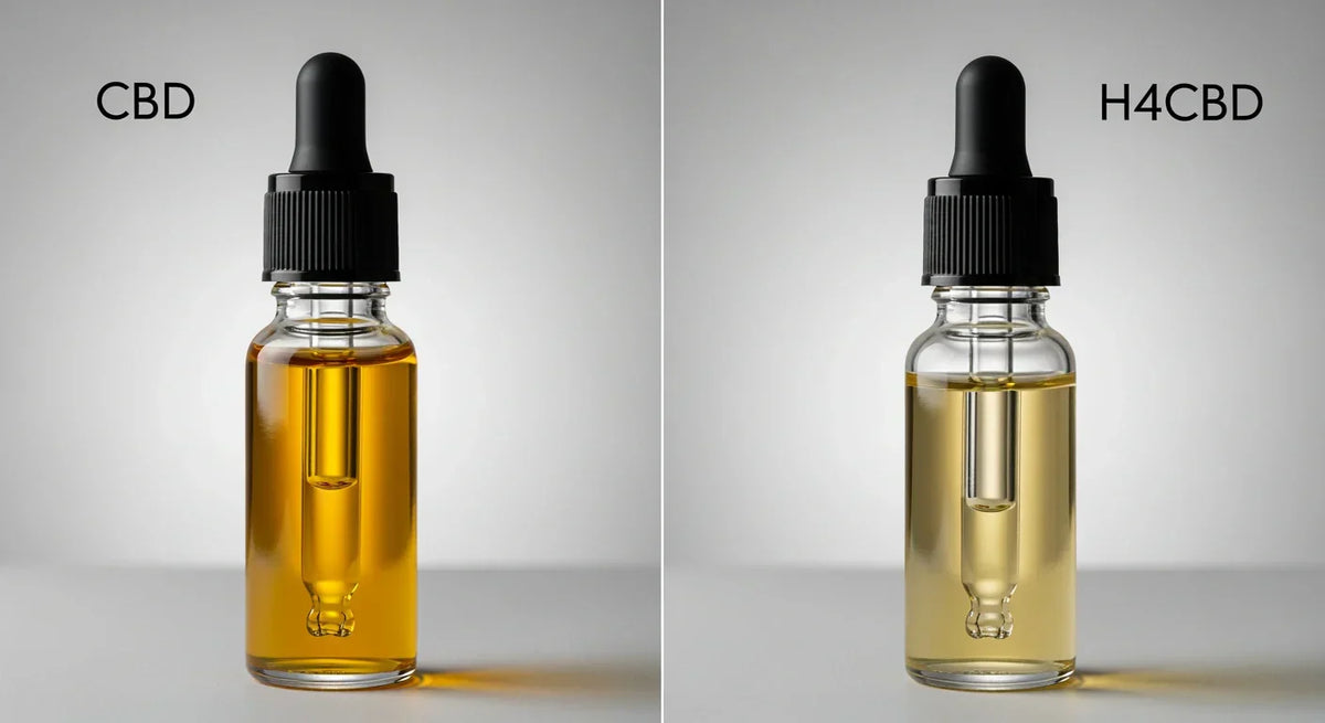H4CBD vs CBD – ¿cuál es realmente la diferencia?