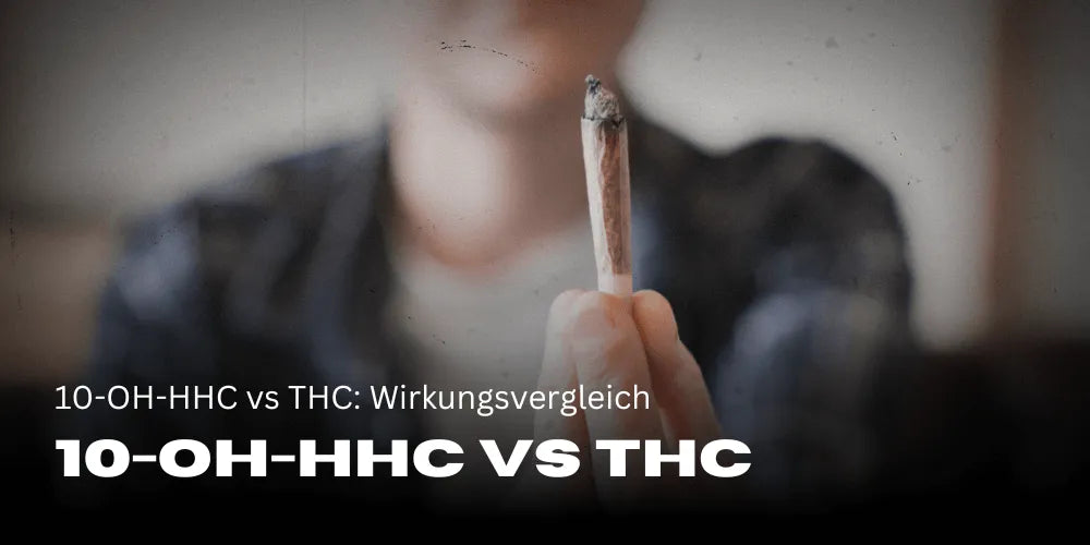 10-OH-HHC vs THC: Compararea efectelor | HHC Friends