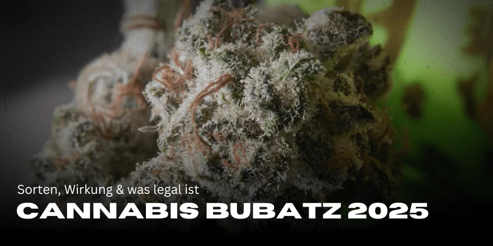 Cannabis Bubatz 2025: Fajták, hatás és mi legális