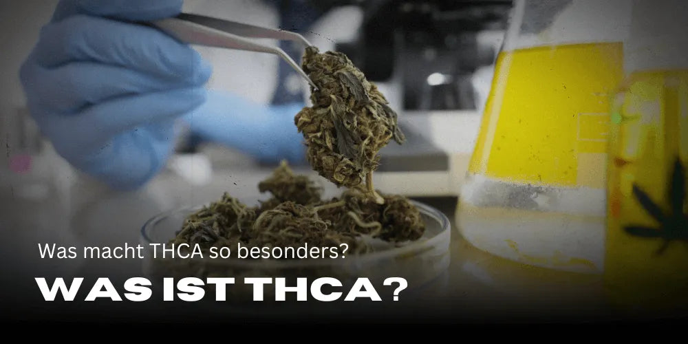 ¿Qué es el THCA y qué lo hace tan especial?