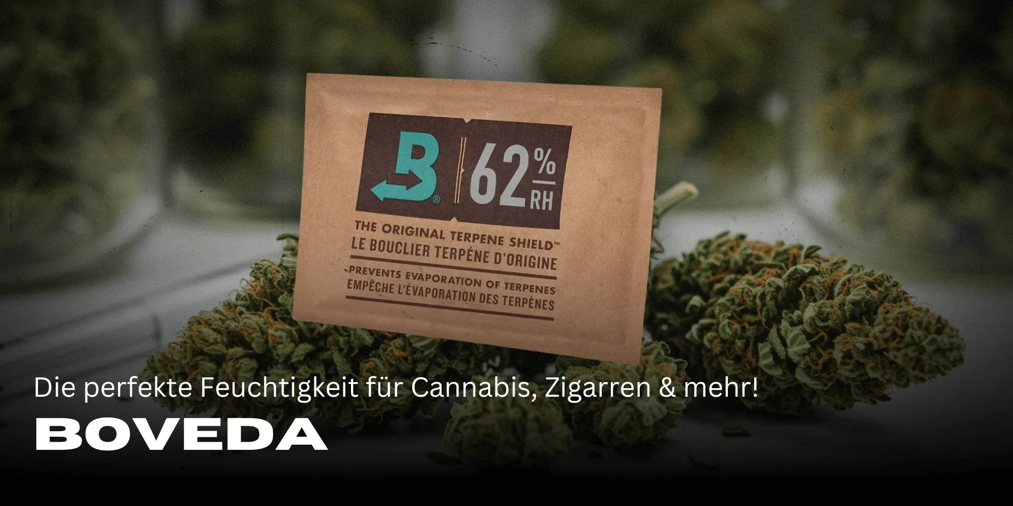 Proper Use of Boveda: Instructions for Optimal Humidity Control - Smagro GmbH