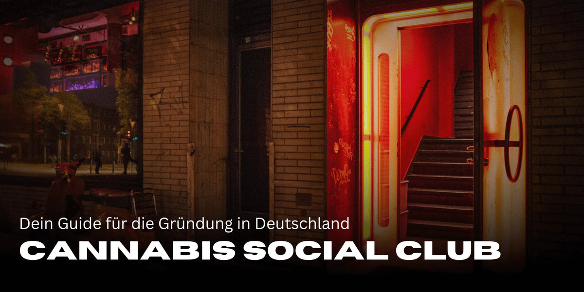 Cannabis Social Club oprichten: Jouw gids voor Duitsland