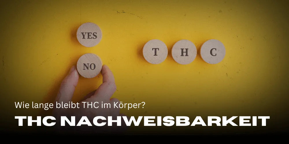 THC kimutathatósága: Mennyi ideig marad a THC a szervezetben?