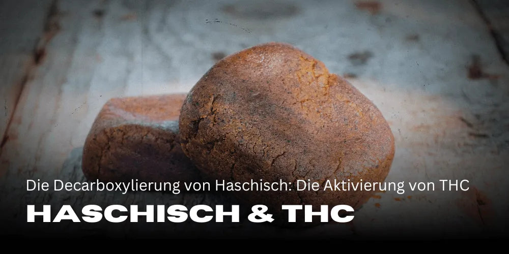 La décarboxylation du hash : l’activation du THC