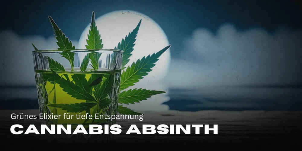 Cannabis Absinth : Élixir vert pour une détente profonde