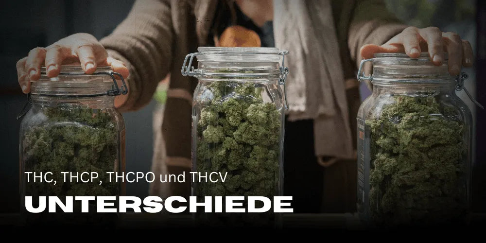 Mi a különbség: THC, THCP, THCPO és THCV között?