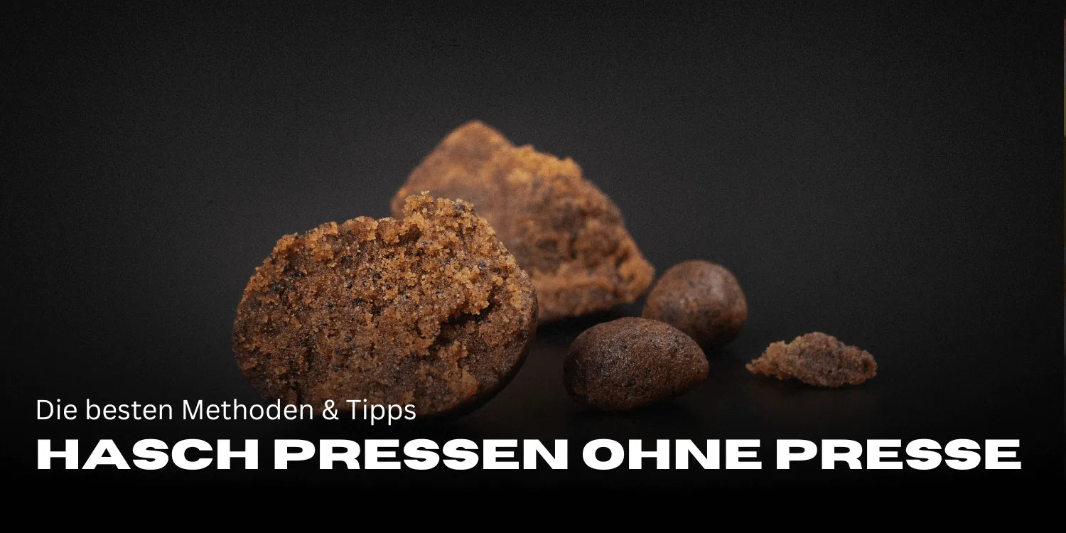 Hasis préselése prés nélkül: A legjobb módszerek és tippek-Smagro GmbH