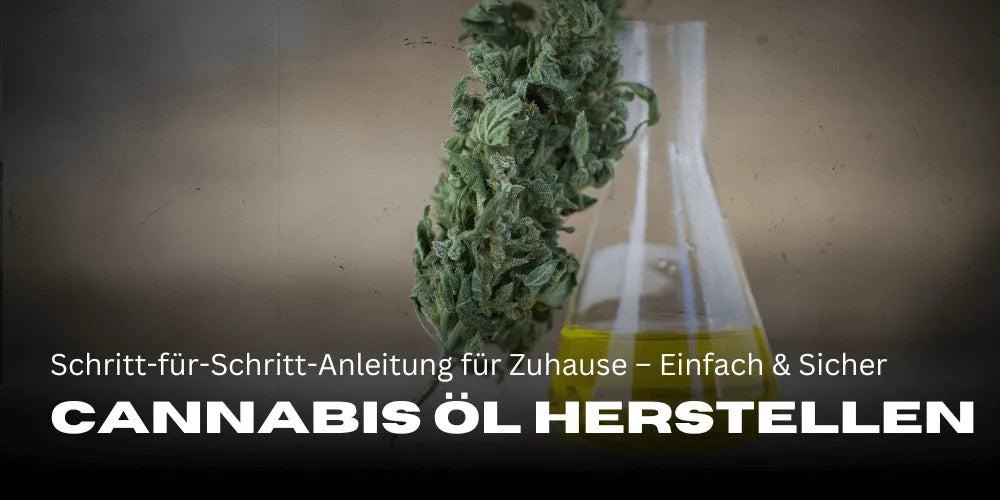 Fabriquer de l’Huile de Cannabis : Guide étape par étape pour la maison – Simple & Sûr
