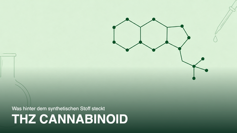 THZ Canabinoide: o que está por trás da substância sintética