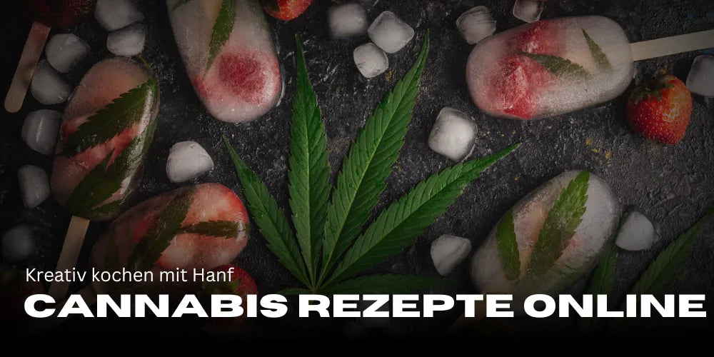 Recettes de Cannabis en ligne : Cuisiner créativement avec du Chanvre
