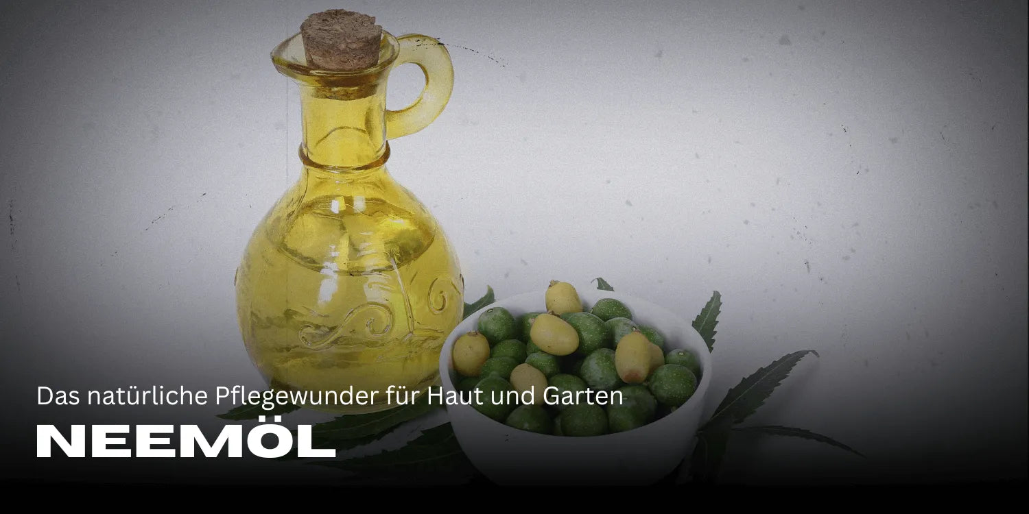 Neemolie: Het natuurlijke verzorgingswonder voor huid en tuin