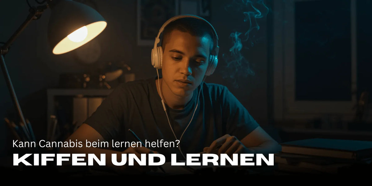 Fumer et étudier, est-ce possible ? Jeune homme avec des écouteurs qui fume un joint en étudiant.
