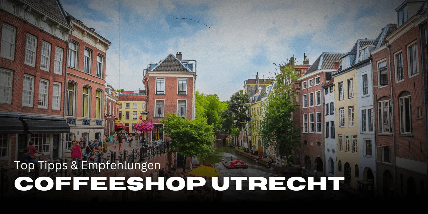 Najlepsze coffeeshopy w Utrechcie dla turystów: Top wskazówki i rekomendacje 🌿-Smagro GmbH