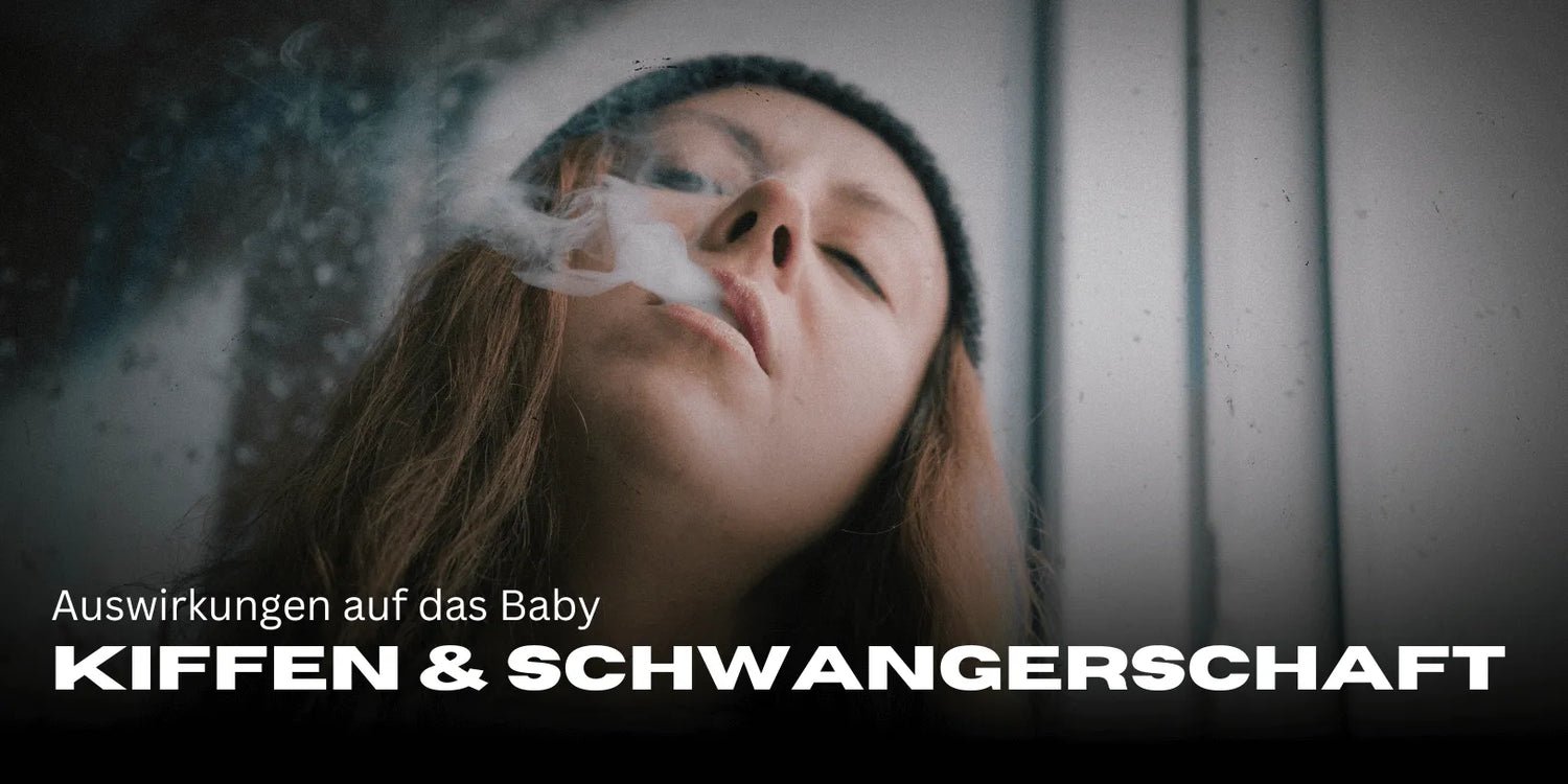 Chronic Users & Pregnancy