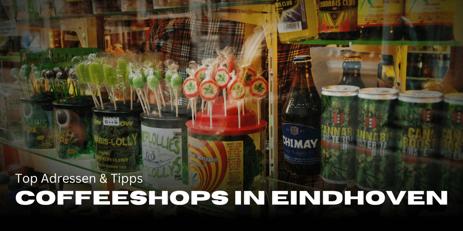 Legjobb Coffeeshopok Eindhovenben