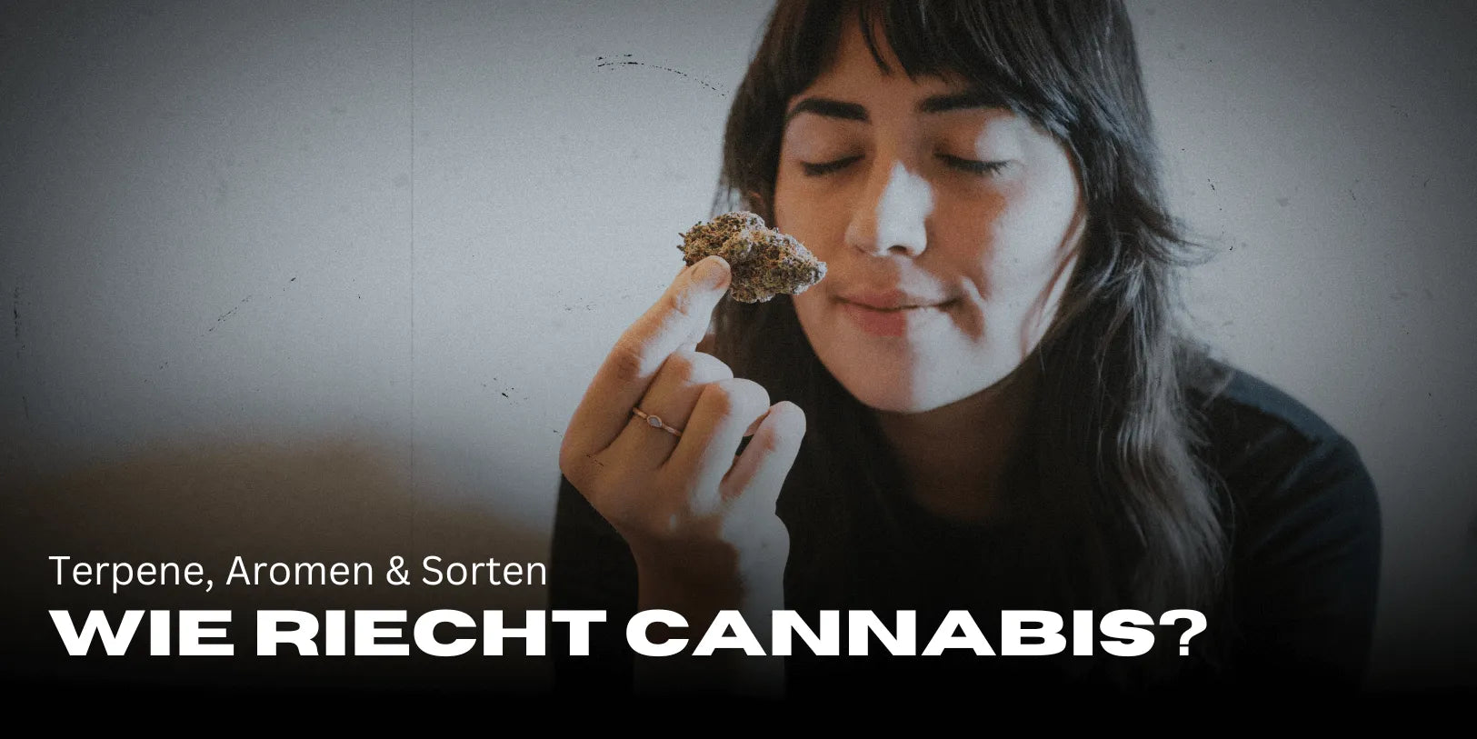 What does cannabis smell like? Terpenes, aromas & strains 🌿-Smagro GmbH