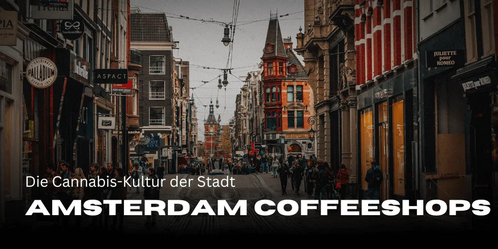 Coffeeshops de Ámsterdam: la cultura del cannabis de la ciudad