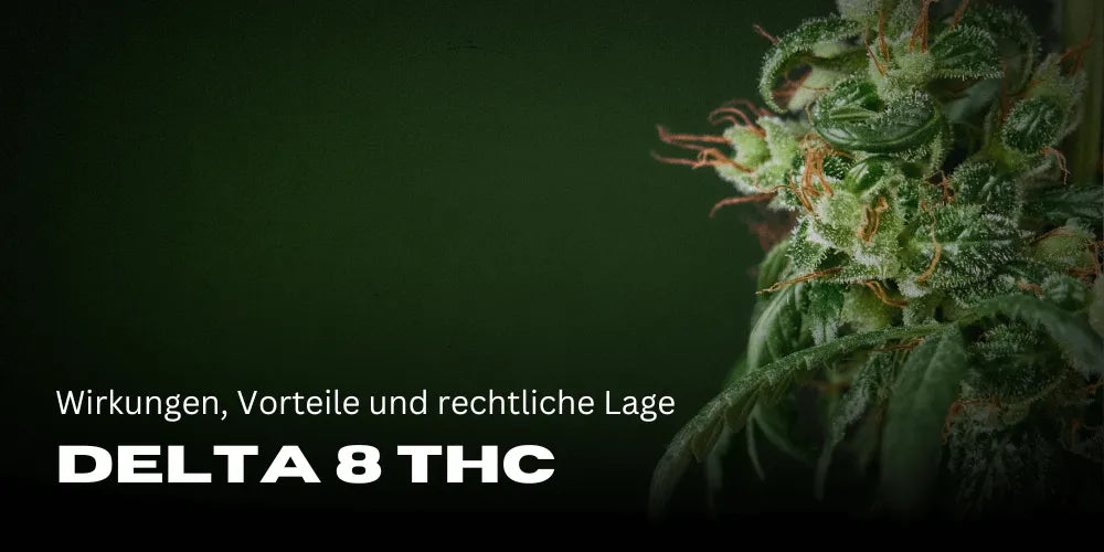 Delta 8 THC: Efectos, beneficios y situación legal