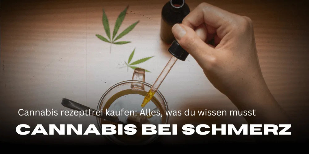 Comprar Cannabis para dores sem receita: Tudo o que precisas de saber
