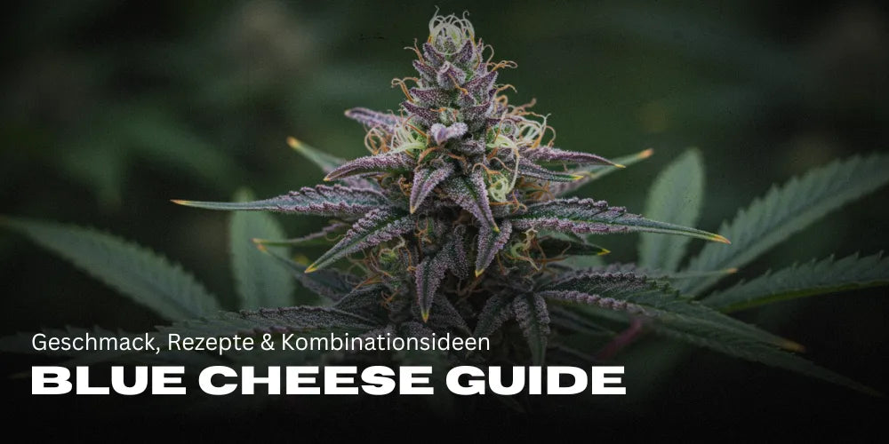 Guía de Blue Cheese: Sabor, Recetas e Ideas de Combinación-Smagro GmbH