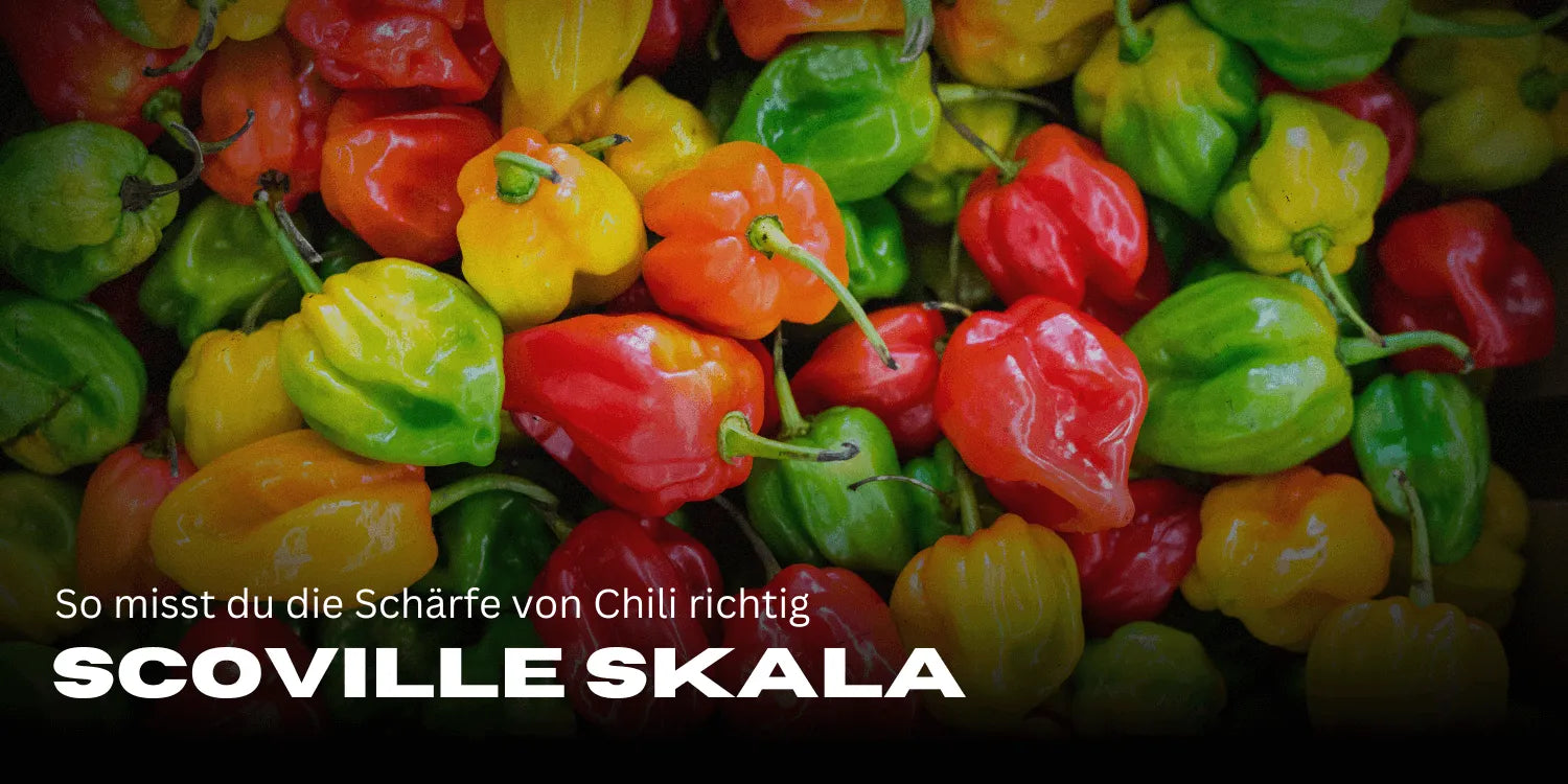 Skala Scoville’a: Jak prawidłowo mierzyć ostrość chili