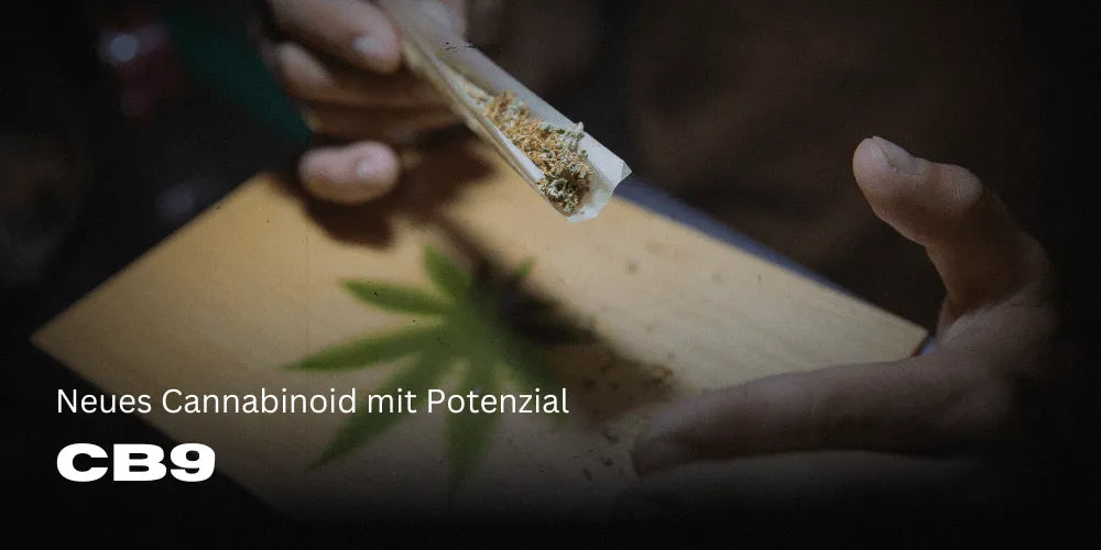 CB9 a promising new Cannabinoid