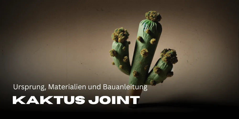 Porro Kaktus: Origen, materiales y guía de construcción
