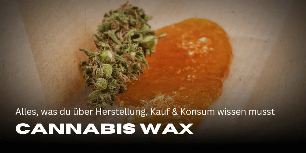 Cannabis Wax: Everything You Need to Know About Production, Purchase, and Consumption