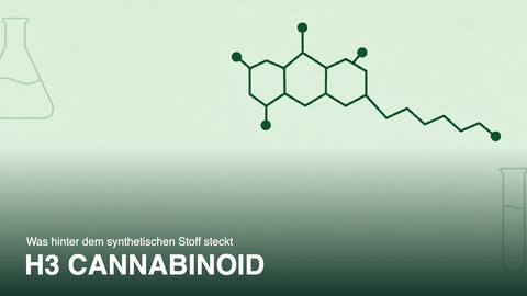 H3 cannabinoid: co kryje się za tą syntetyczną substancją