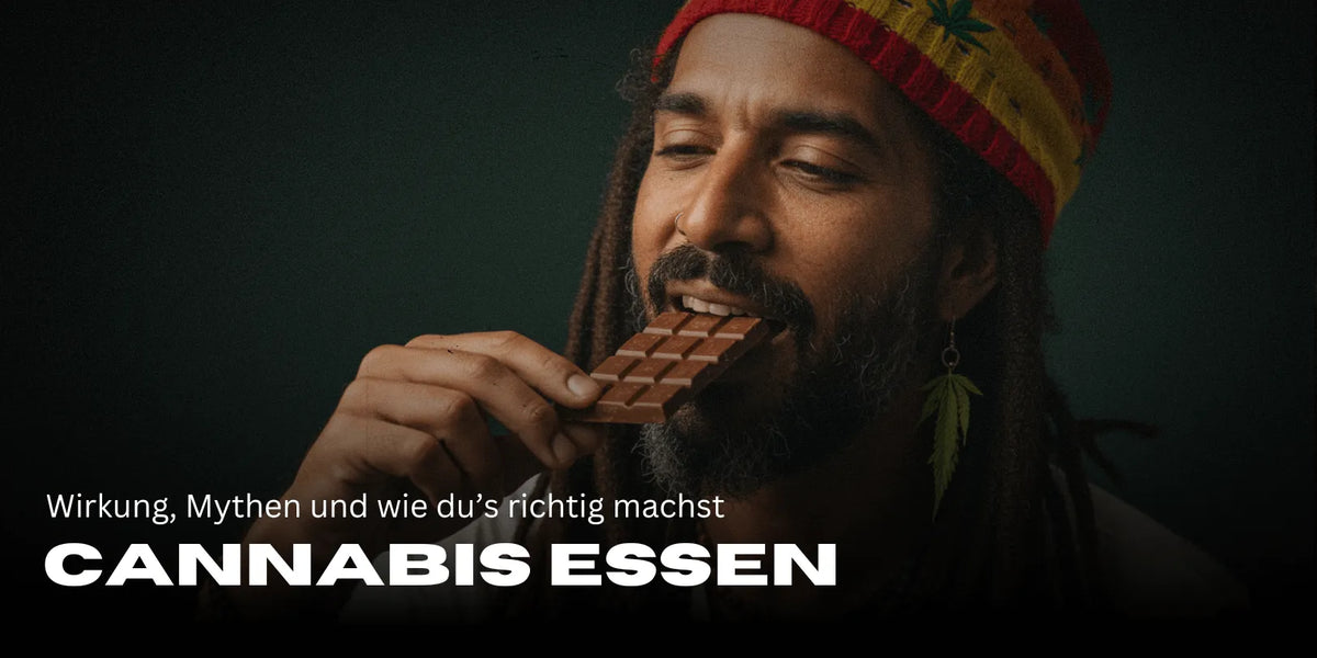Facet w stylu Rasta je czekoladę THC