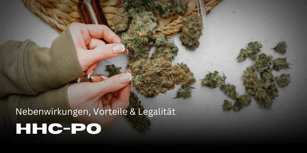 HHC-PO: Efectos secundarios, ventajas y legalidad