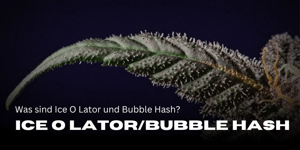 Wat zijn Ice O Lator en Bubble Hash?